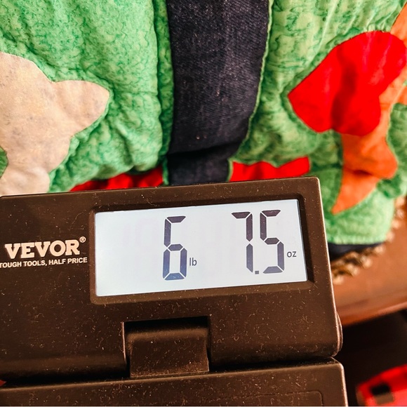 Vintage Handmade Quilt – 55” x 65” – Folk Art Appliqué Hearts & Tulips – Denim - Picture 3 of 15